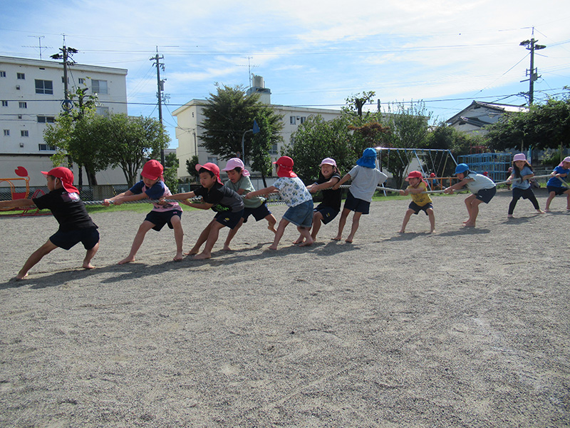 運動会(綱引き)